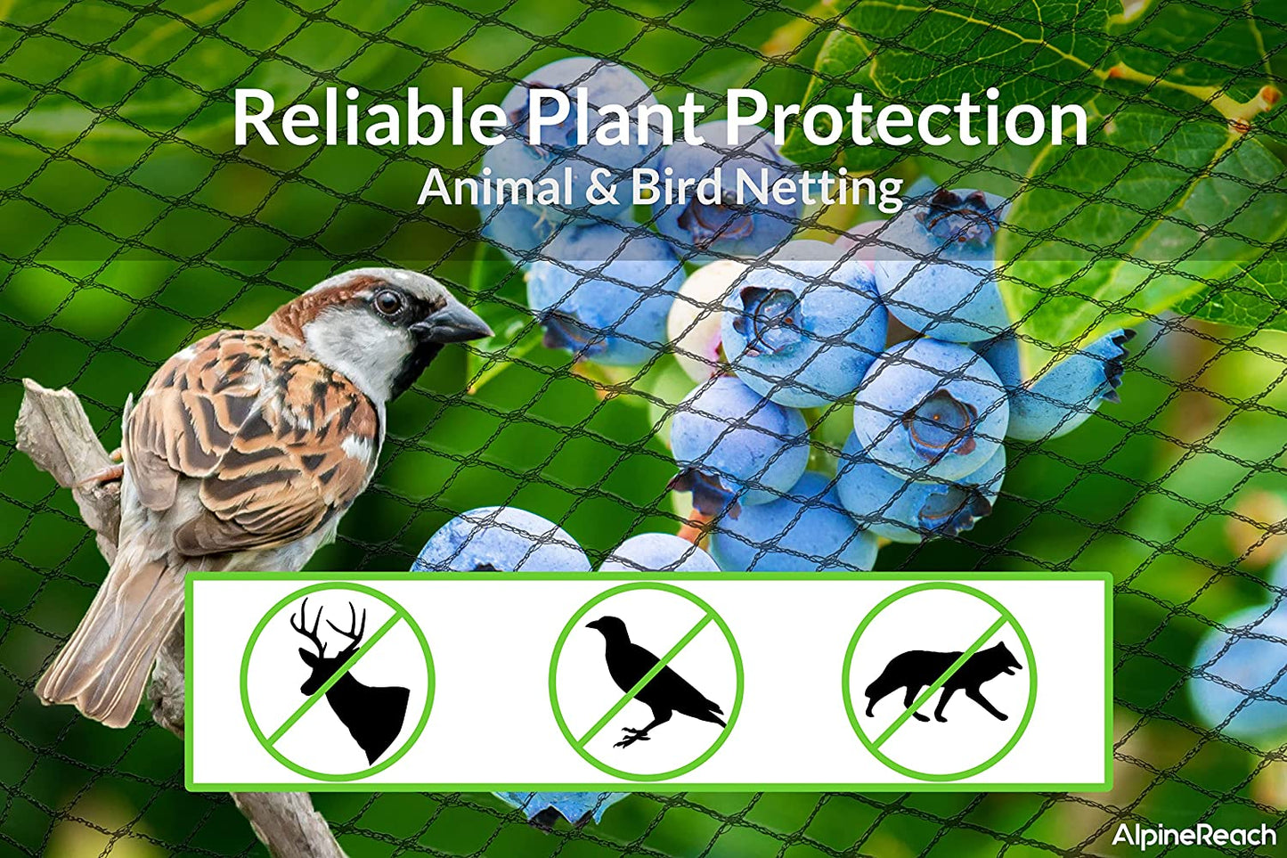 AlpineReach Garden Bird Netting Kit 7.5 x 65 Feet Green - AlpineReach